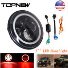 051 Topnew 7inch Halo Angel 733430442446