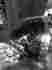 09754 Custom Chrome 6 1 2in Springer-style Headlight Assembly With