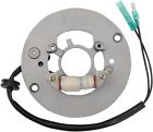21-926 Ricks Motorsport Stator Rick