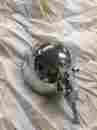 330131 Custom Chrome Bottom Mount Headlight 5 3 4 Harley Softail Fxst Fxwg Fxdwg Springer Chopper