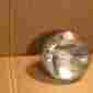 35121-32410 4020 Wagner Lighting New 6 Volt Headlight Bulb 1980-1981 Gn400 Replaces Oem Suzuki