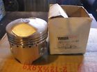 3y1-11631-00-a0 Yamaha Sr250 Xt250 Nos