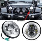 607841350778 Unbranded Chrome 7 Inch
