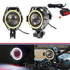 611830685093 Unbranded Angel Eyes Light Motorcycle Headlight Led Lamp