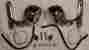 69622-99b 69627-99 Harley-davidson Harley Davidson Trip Ring Headlamp And Passing Lamps