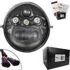 8900vb Eagle Lights Light V-rod