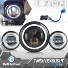 A0hl704ybusa05hn002hlusa03fl502ysusbra Belt Road Led Halo Angel Eyes Headlight Projector 6483208495542