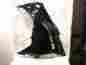 55028-0508-h8 Aoh00599 Kawasaki 13 14 Ex300 Ninja Factory L S Front Cowling Fairing Assy Ebony