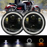 Autoam5664 Ironwalls Pair Round Led Headlight Black Motorcycle Angel Eyes Projector
