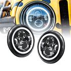 Cazledhdl1382 Ols 2pc 7 Inch 816165023149