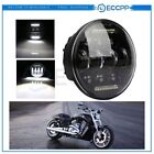 E10945401cp Dot Round Led Halo 5.75 Inch Headlight Fits Motorcycle Hi-lo Beam