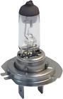 H7ll Candlepower H7 Halogen Headlight