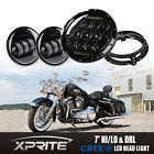 Harley-75w-kit-a3 Black Fog Auxiliary Xprite
