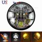 Hl-6015-ch Egoobuyshop 5.75 Motorcycle High 699945101240