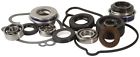 Wpk0059 Hot Rebuild Water Kit Rods Pump