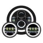 Hw167005-hw195206 Hogworkz Blackout 7 Led