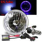 Knockoffparts008593 Kno Blue Led Halo For Harley Round Reflector Headlight Bucket