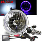Knockoffparts008637 Kno Blue Led Halo For Harley Round Reflector Headlight Bucket