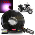 Knockoffparts009237 Kno Glass Lens Round Black Projector Headlight Bucket Diy Hid Knockoffparts009237 Kno Glass Lens Round Black Projector Headlight Bucket Diy Hid