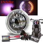 Knockoffparts0128425 Kno White Amber Drl For Harley Round Proj Headlight Bucket