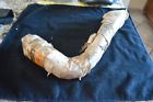 3571-37a Nos Pump Oil Oem Lines Davidson - Feed 45 Harley