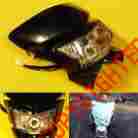Oic-hl-kbk Oic Black Dirt Bike Motorcycle Headlight Fairing Enduro Cross Dual Sport Dirtbike