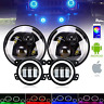 T-60wbl2p30w Rgb 2pturn Turbosii Dot Approved Round All Color Led 615517191303