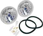 T40311 Adjure Prizm Lights 4.25