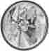 T70700-sr Adjure 7 Pie Cut Ice Headlight W Skull