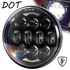 Tp-575-c01 Spl Light Newest Dot Approved Daymaker Osram Led 712492002997