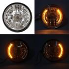 Tpk01297 Todp 7 Motorcycle Halogen