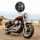 Wlhead5.75in-1 V-v 1pc 5.75 Round