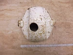 1968-69 Honda H1583 Headlight Bucket Mount HM-7M. Fixed Price $56.74.