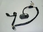 Harley-davidson Headlight Halo Wire Harness 70174-06 + Garage Open 91559-01. Fixed Price $39.00.