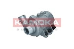 Kamoka T9001 Water Pump, Engine Cooling For Bmw. Fixed Price $259.08.