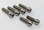 Kawasaki Z900 Titanium Yoke Pinch Bolt Kit 17-23 Taper Head Triple Tree. Fixed Price $33.00.