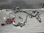 2009 Yamaha Yzf R6 Main Wire Harness, Electrical #101025. Fixed Price $150.00.