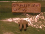 Yamaha XS1100 1978-81 Headlight Adjusting Nut Oem # 2H7-84334-00-00. Fixed Price $12.08.