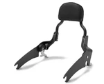 15-24 Kawasaki Vulcan EN650 Kqr Passenger Backrest 99994-0518B. Fixed Price $407.94.