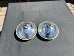 Jeep Wrangler Tj Sylvania Halogen 2D1 Bulbs. Fixed Price $30.00.