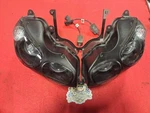 2006-2011 Kawasaki Ninja ZX14 Headlamp Pair P6393R And P63393L. Fixed Price $120.00.