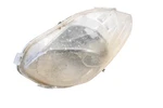 03 Polaris Predator 500 2X4 Front Left Headlight. Fixed Price $74.99.