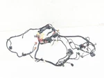 18-24 Ducati Panigale V4S Main Wiring Harness Front To Rear 5101G101B Wire Loom. Fixed Price $558.52.