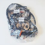 Kawasaki 26031-0377 Main Wiring Harness ZX-6RR 2005-2006 Oem. Fixed Price $539.99.