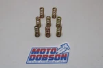 Ducati 916 996 998 79910641A Spring Pack. Fixed Price $35.00.