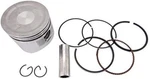 Rings Piston Kit For Massimo MB200S Mini Bike 196CC 7.5HP. Fixed Price $34.95.