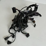 Triumph Trident 660 2022 Main Wiring Loom Harness Cables T2505053. Fixed Price $215.91.