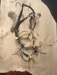 80,81 Yamaha DT-175, DT-125 Oem Wire Harness, 3J0-82590-50-00. Fixed Price $50.00.