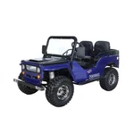 X-pro Ranger 125CC Mini Jeep Go Kart, Semi Auto, Led Headlights, Electric Start. Fixed Price $1949.00.