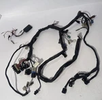 2000 2001 Yamaha Yzf R1 Main Wiring Harness Assembly 5JJ-82590-11-00. Fixed Price $199.99.